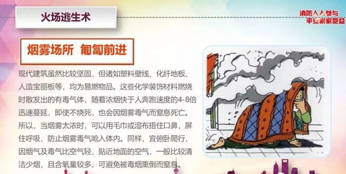 史上最全消防安全指南 守护生命与财产的基石